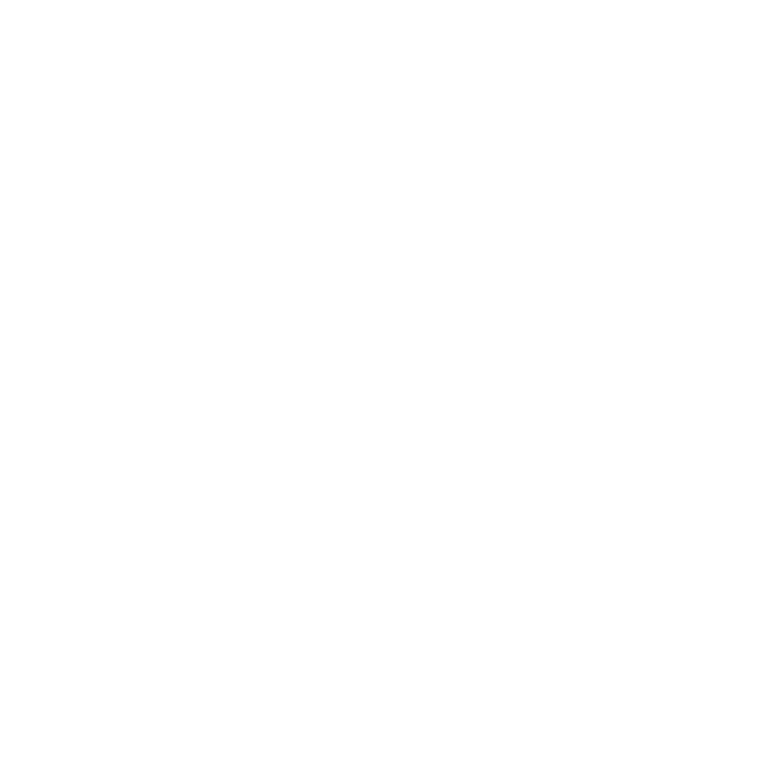 LOGO-FRISBY